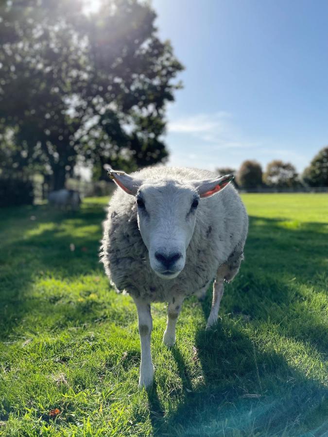 ノリッチ The Granary, Norfolkヴィラ エクステリア 写真